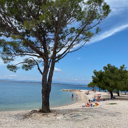 Family Apartments Vesna- 100 M Beach -Center Crikvenica Εξωτερικό φωτογραφία