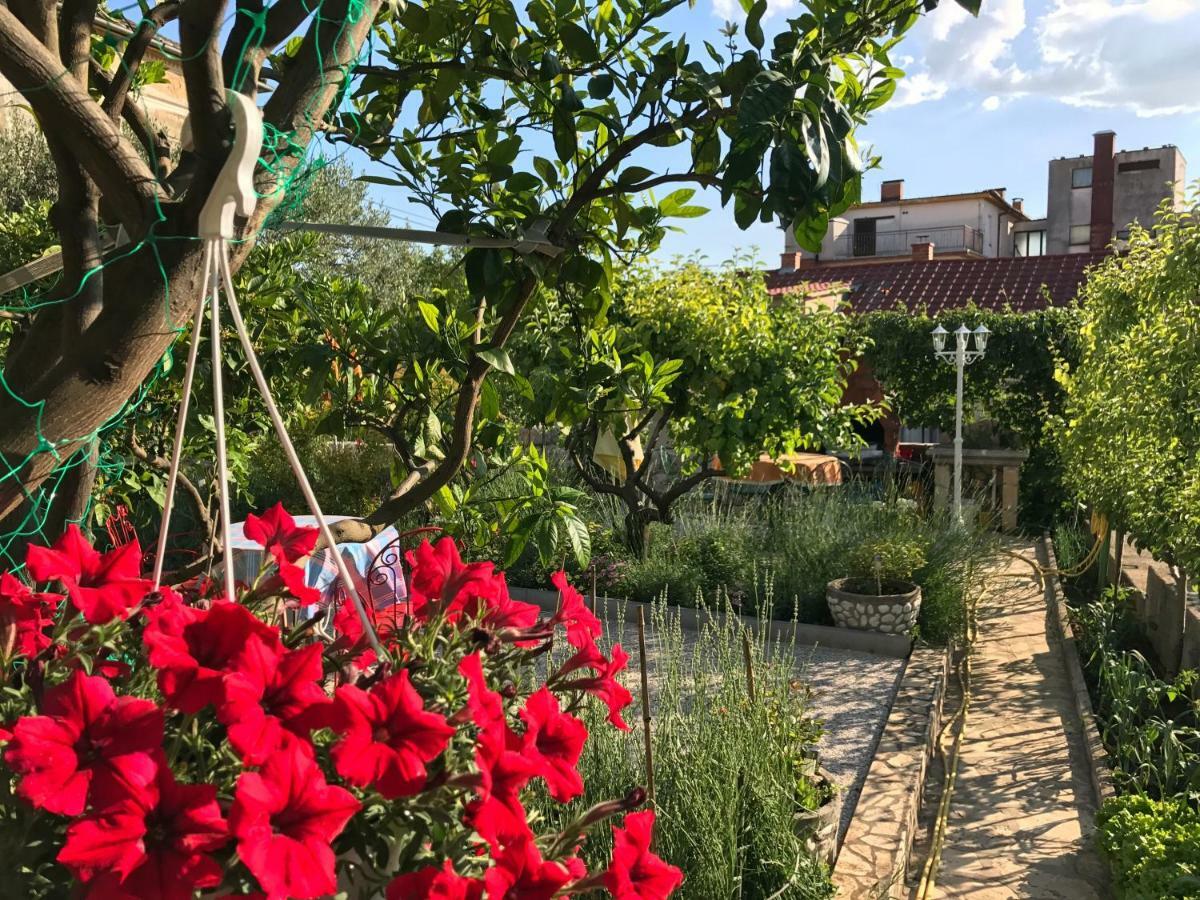 Family Apartments Vesna- 100 M Beach -Center Crikvenica Εξωτερικό φωτογραφία